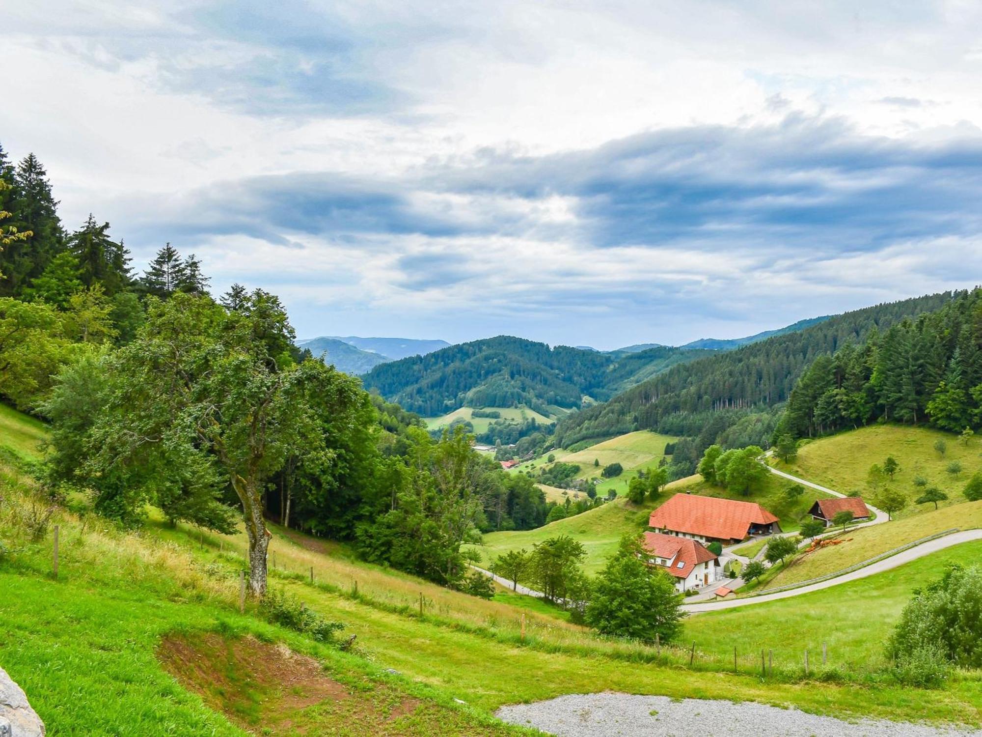 Ferienhaus Wendelinus Mit Pool & Sauna Хаузах Экстерьер фото