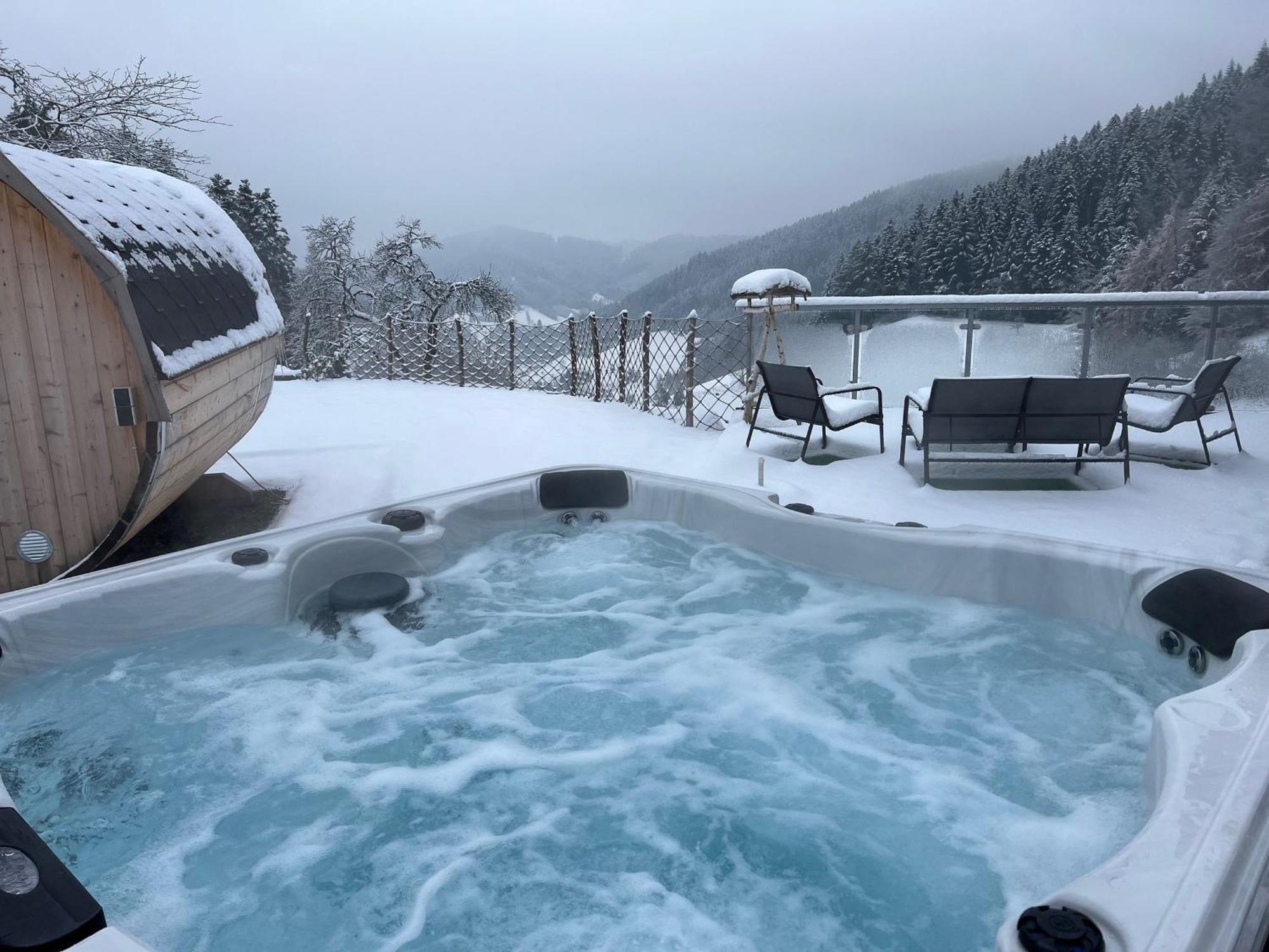 Ferienhaus Wendelinus Mit Pool & Sauna Хаузах Экстерьер фото