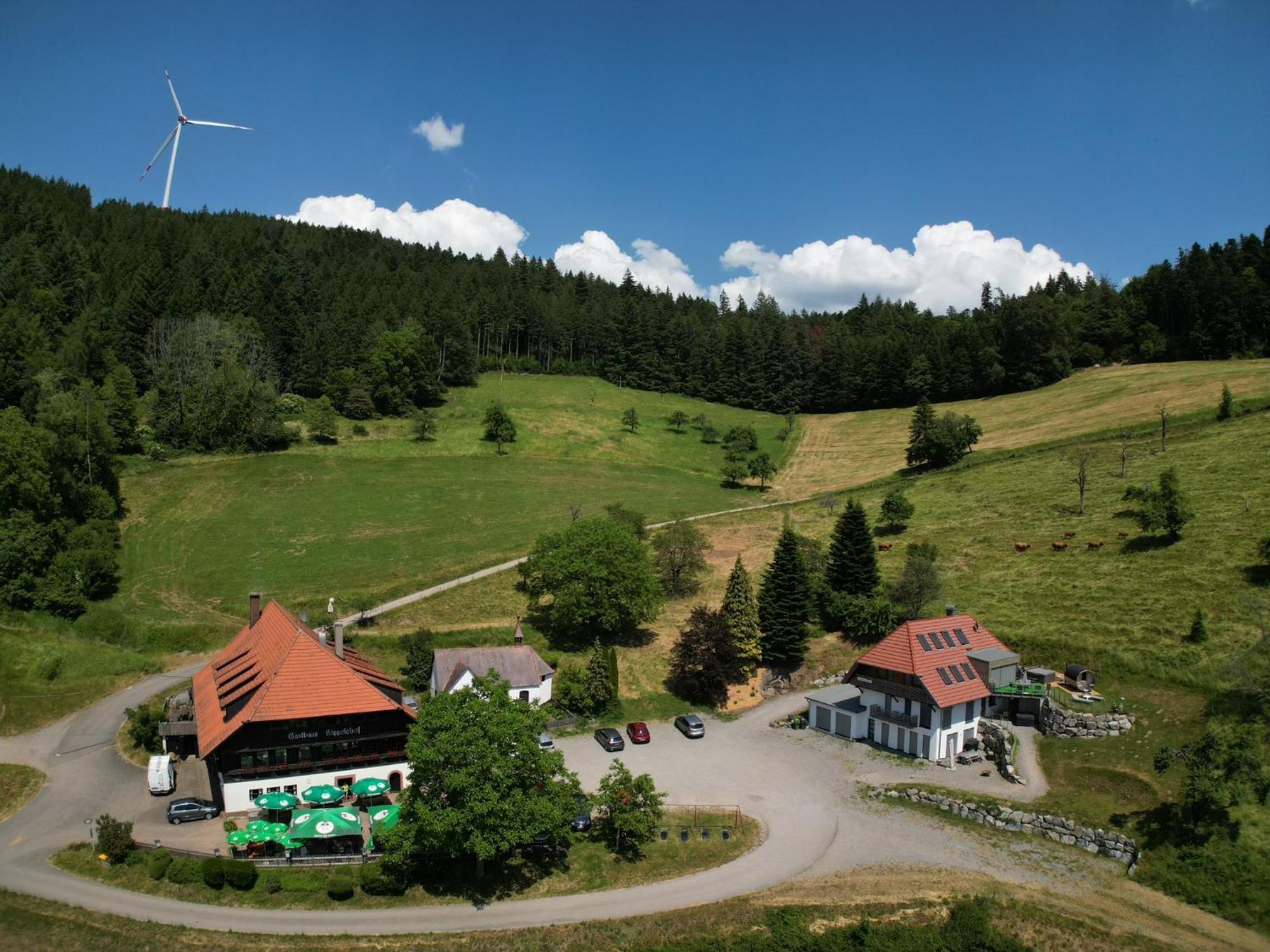 Ferienhaus Wendelinus Mit Pool & Sauna Хаузах Экстерьер фото